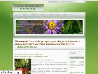 flower-grapes.com.ua