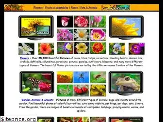 flowersvg.com