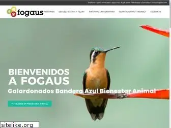 fogaus.com