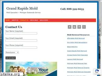 grandrapidsmold.com