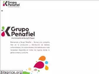 grupopenafiel.com.mx