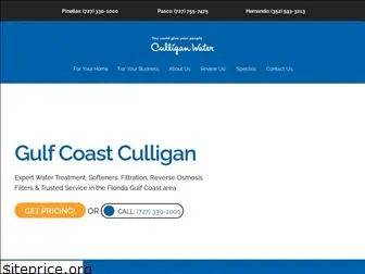 gulfcoastculligan.com