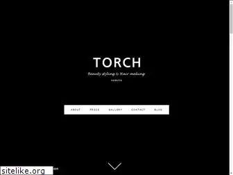 hair-torch.com