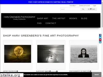 harvgreenberg.com