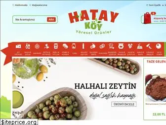 hataykoy.com