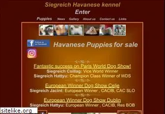 havanese-kennel.com