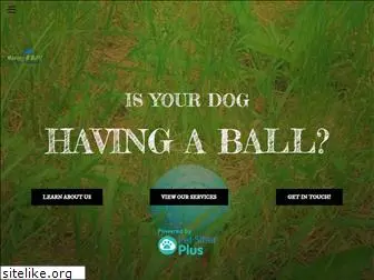 havingaballpetcare.com