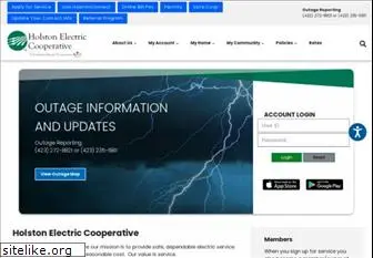 holstonelectric.com