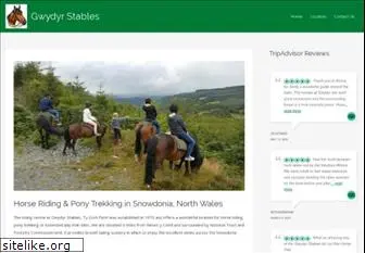 horse-riding-wales.co.uk