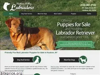 hudsonvalleylabradors.com