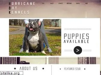 hurricanebaykennels.com