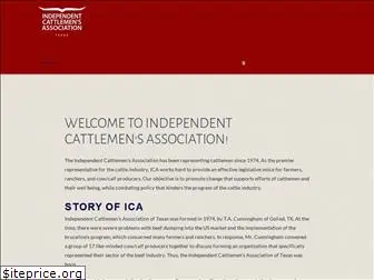 icatexas.com