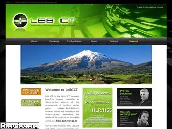 leibict.com