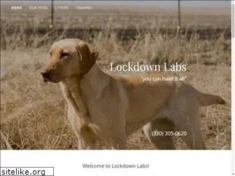 lockdownlabs.com