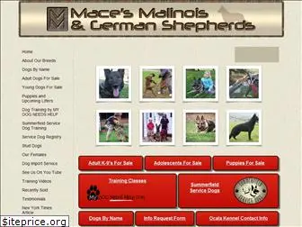 macesmalinois.com