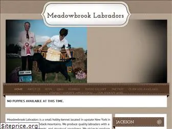 meadowbrooklabs.net