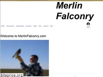 merlinfalconry.com