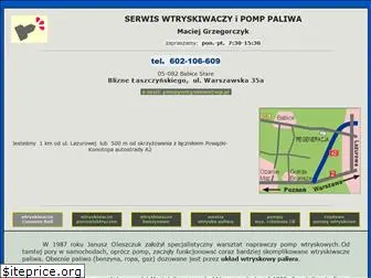 naprawa-wtryskiwaczy-i-pomp.pl