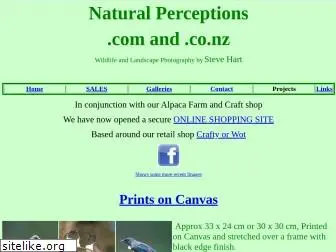 naturalperceptions.com