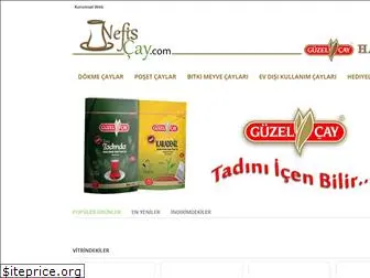 nefiscay.com