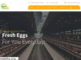 ngyenmbofarm.com