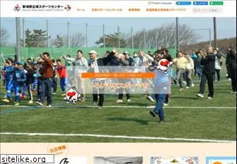 niigata-sports.net