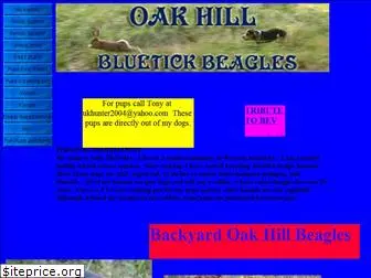 oakhillblueticks.com