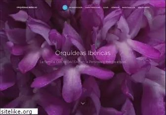 orquideasibericas.info