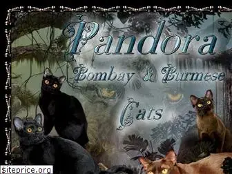 pandoracats.com