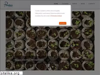 pandoraconsulting.it