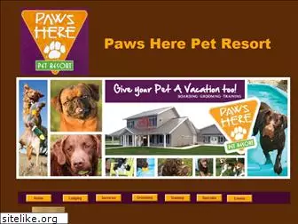 pawsherepetresort.com