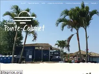 plagepointecalumet.com