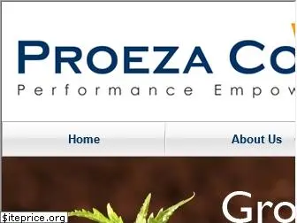 proezacorp.com