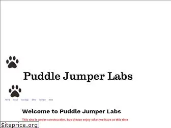 puddlejumperlabs.com