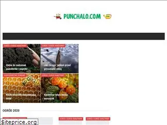 punchalo.com