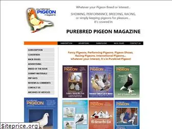 purebredpigeon.com