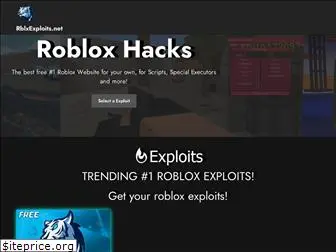 roblox hacks net