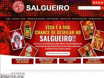 salgueiro.com.br