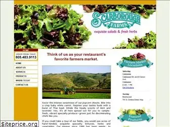 scarboroughfarms.com