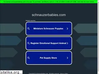 schnauzerbabies.com