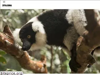 seemadagascar.com