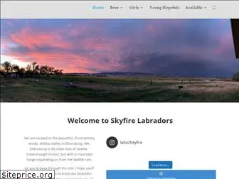 skyfirelabs.com