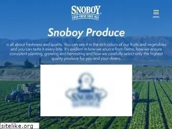 snoboy.com