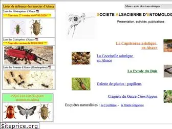 societe-alsacienne-entomologie.fr