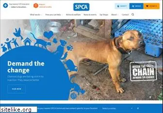 spca.org.nz