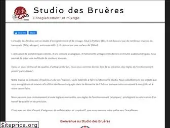 studiodesbrueres.com