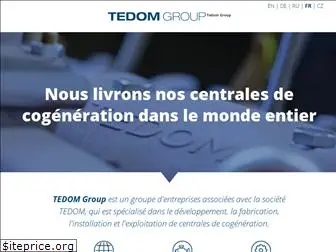 tedomgroup.com