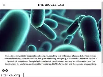 thedigglelab.com