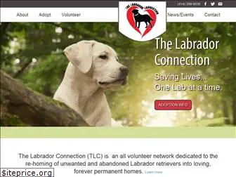 thelabconnection.org