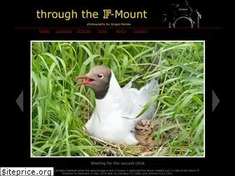 throughthefmount.com